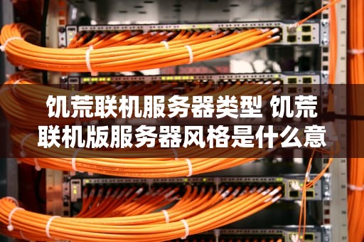 饥荒联机服务器类型 饥荒联机版服务器风格是什么意思