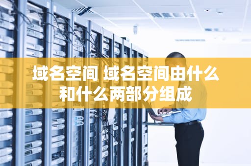 域名空间 域名空间由什么和什么两部分组成