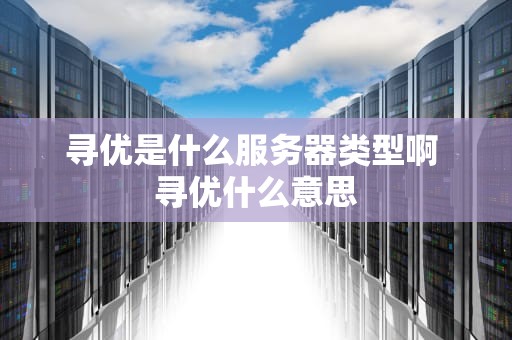 寻优是什么服务器类型啊 寻优什么意思