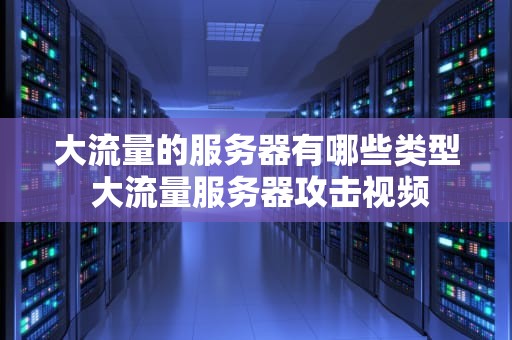 大流量的服务器有哪些类型 大流量服务器攻击视频