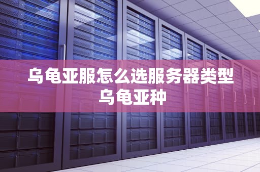 乌龟亚服怎么选服务器类型 乌龟亚种