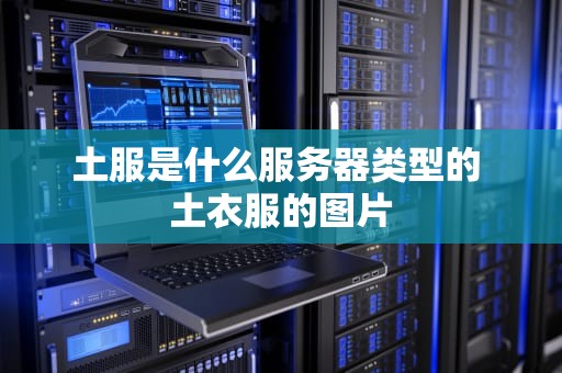 土服是什么服务器类型的 土衣服的图片