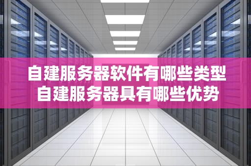 自建服务器软件有哪些类型 自建服务器具有哪些优势