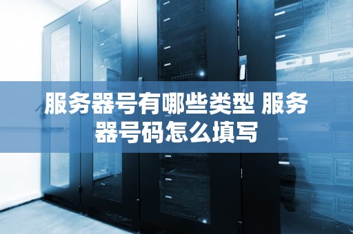服务器号有哪些类型 服务器号码怎么填写