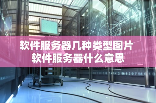 软件服务器几种类型图片 软件服务器什么意思