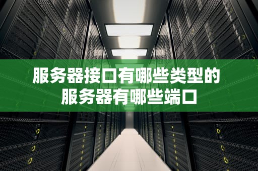 服务器接口有哪些类型的 服务器有哪些端口