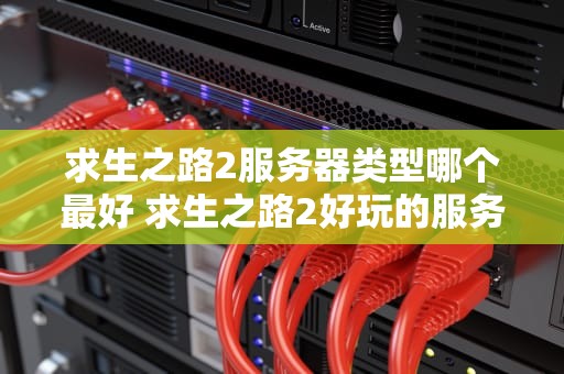 求生之路2服务器类型哪个最好 求生之路2好玩的服务器