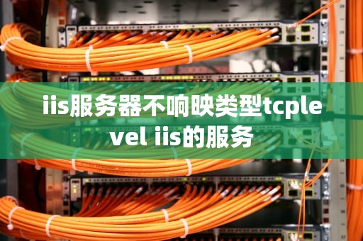 iis服务器不响映类型tcplevel iis的服务
