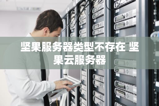 坚果服务器类型不存在 坚果云服务器
