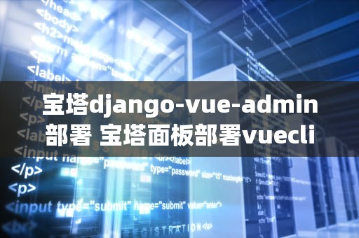 宝塔django-vue-admin部署 宝塔面板部署vuecli项目