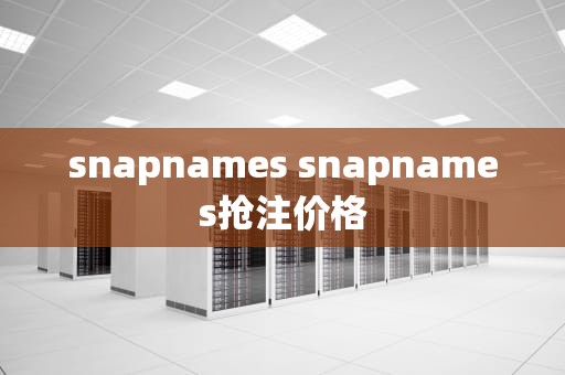 snapnames snapnames抢注价格