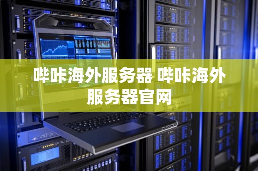 哔咔海外服务器 哔咔海外服务器官网