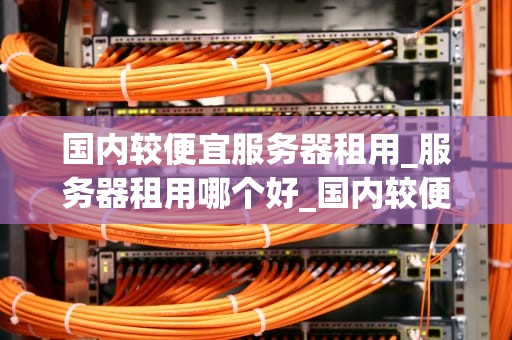 国内较便宜服务器租用_服务器租用哪个好_国内较便宜服务器租用的全面解析