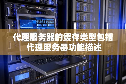 代理服务器的缓存类型包括 代理服务器功能描述