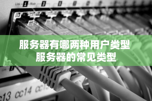服务器有哪两种用户类型 服务器的常见类型