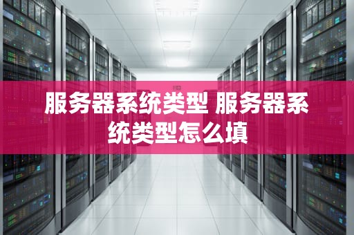 服务器系统类型 服务器系统类型怎么填