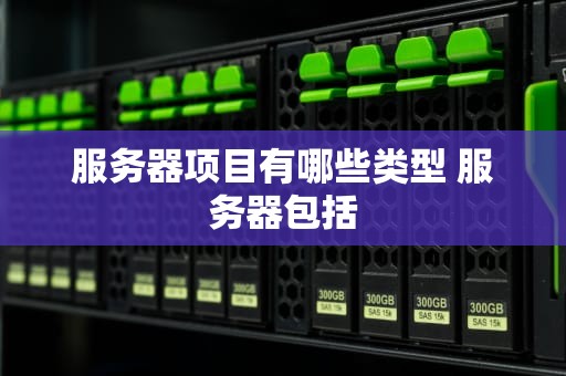 服务器项目有哪些类型 服务器包括