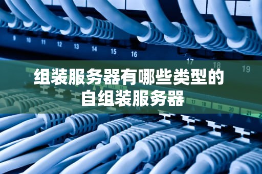 组装服务器有哪些类型的 自组装服务器