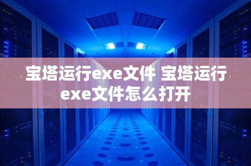 宝塔运行exe文件 宝塔运行exe文件怎么打开