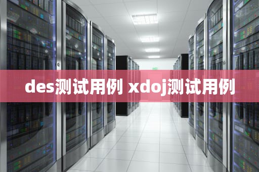 des测试用例 xdoj测试用例