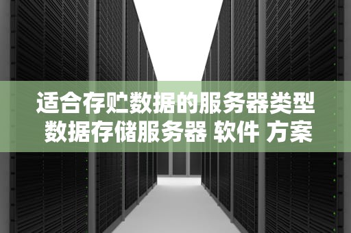 适合存贮数据的服务器类型 数据存储服务器 软件 方案