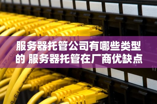 服务器托管公司有哪些类型的 服务器托管在厂商优缺点