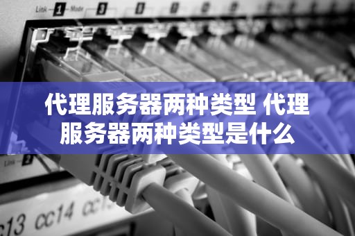 代理服务器两种类型 代理服务器两种类型是什么