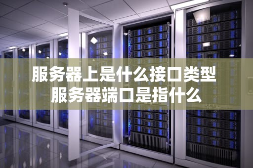 服务器上是什么接口类型 服务器端口是指什么