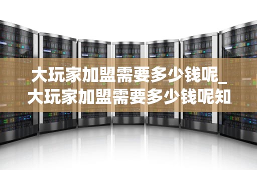 大玩家加盟需要多少钱呢_大玩家加盟需要多少钱呢知乎_大玩家加盟需要多少钱？