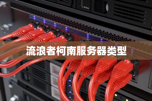 流浪者柯南服务器类型
