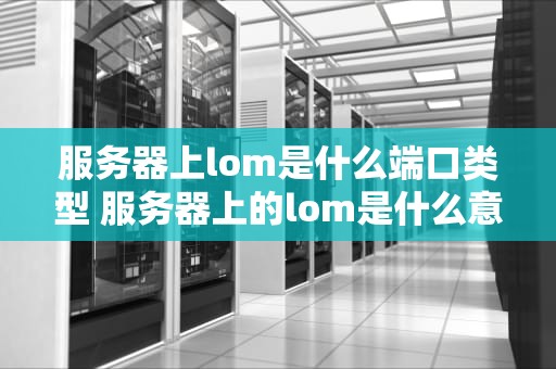 服务器上lom是什么端口类型 服务器上的lom是什么意思