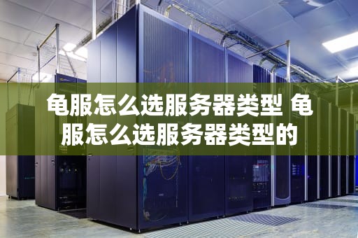 龟服怎么选服务器类型 龟服怎么选服务器类型的