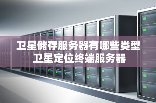 卫星储存服务器有哪些类型 卫星定位终端服务器