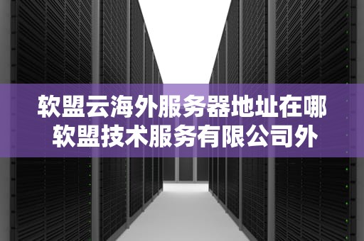 软盟云海外服务器地址在哪 软盟技术服务有限公司外包