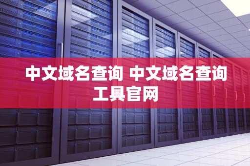中文域名查询 中文域名查询工具官网