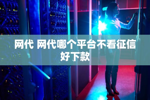 网代 网代哪个平台不看征信好下款
