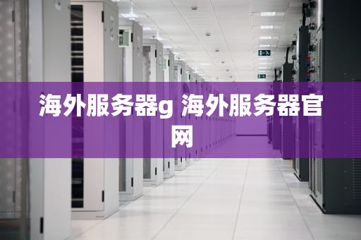 海外服务器g 海外服务器官网