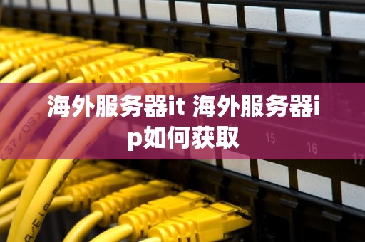 海外服务器it 海外服务器ip如何获取