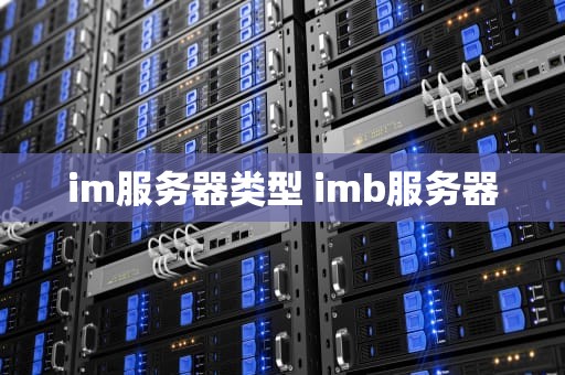im服务器类型 imb服务器