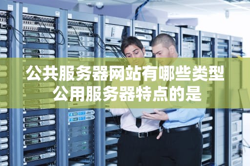 公共服务器网站有哪些类型 公用服务器特点的是