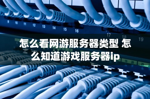 怎么看网游服务器类型 怎么知道游戏服务器ip