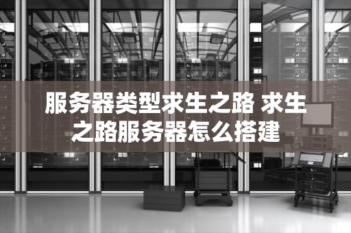 服务器类型求生之路 求生之路服务器怎么搭建