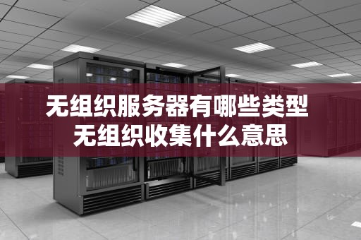 无组织服务器有哪些类型 无组织收集什么意思