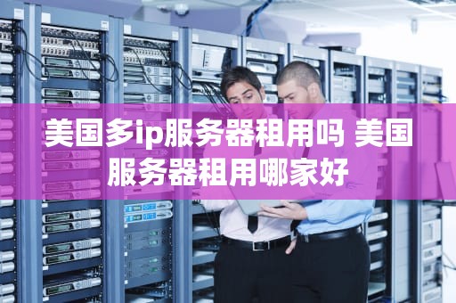 美国多ip服务器租用吗 美国服务器租用哪家好