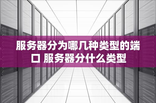 服务器分为哪几种类型的端口 服务器分什么类型