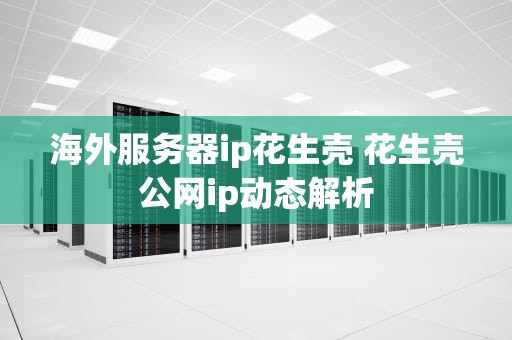 海外服务器ip花生壳 花生壳公网ip动态解析