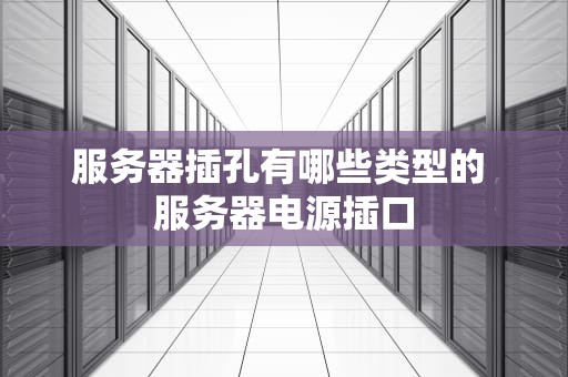 服务器插孔有哪些类型的 服务器电源插口