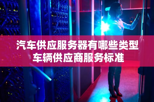 汽车供应服务器有哪些类型 车辆供应商服务标准