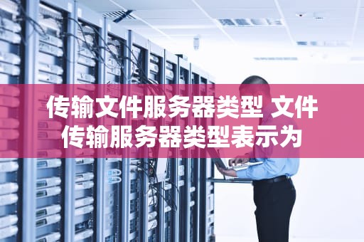 传输文件服务器类型 文件传输服务器类型表示为