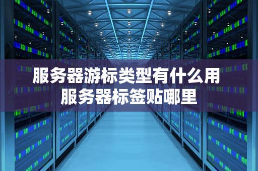 服务器游标类型有什么用 服务器标签贴哪里